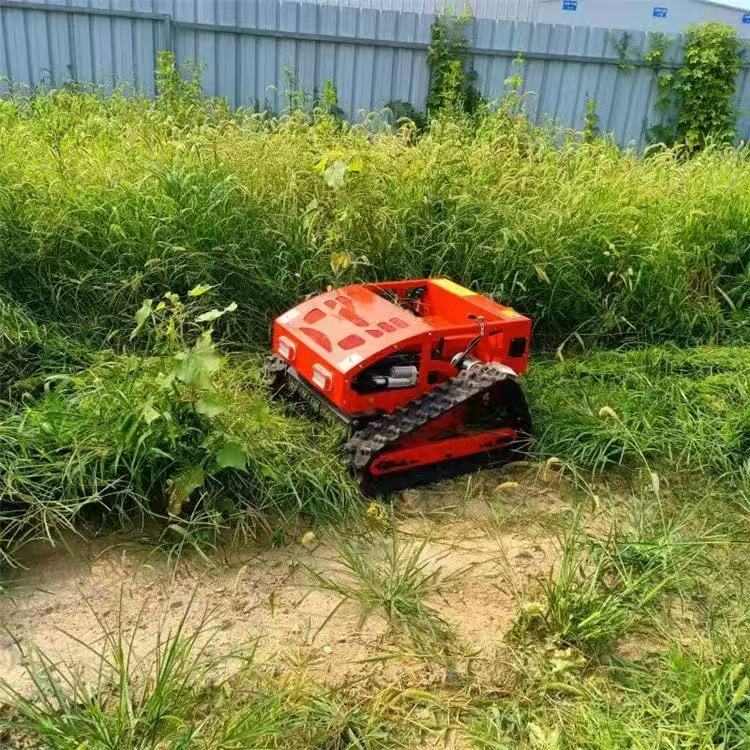 Alat Pemotong Rumput Robot Pin - Smart Garden Trimmer ulasan dan harga