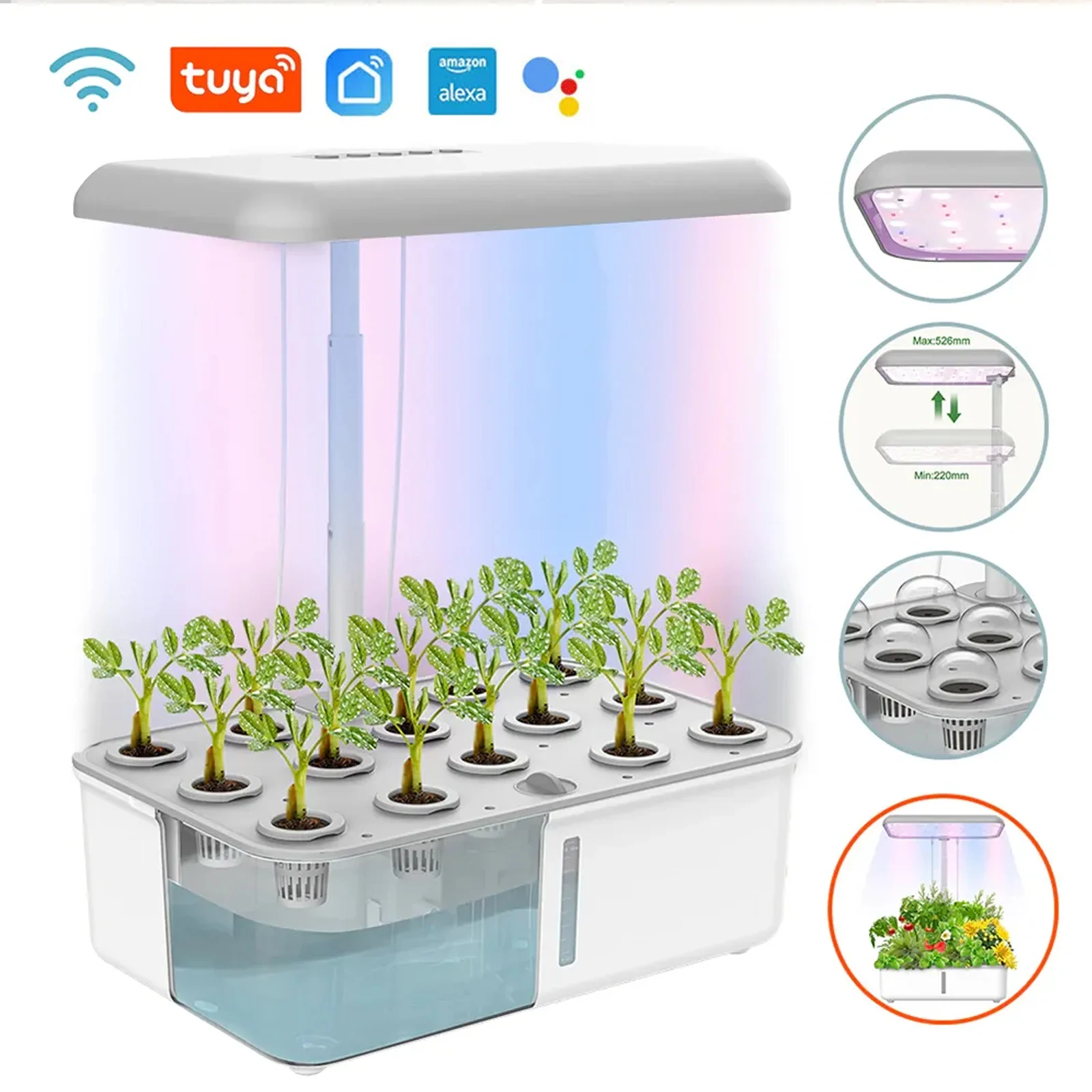 Tuya tanaman hidroponik WiFi s - Smart Garden Click And Grow ulasan dan harga