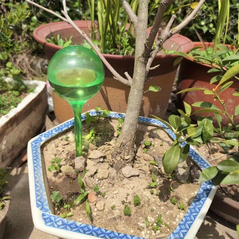 6PCS Bola Penyiram Otomatis un - Smart Garden Herb ulasan dan harga
