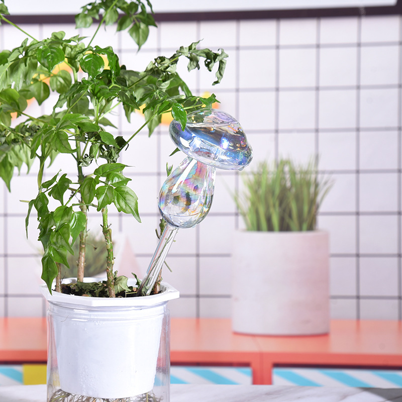1/2 Buah Bohlam Penyiraman Tan - Smart Garden Herb ulasan dan harga