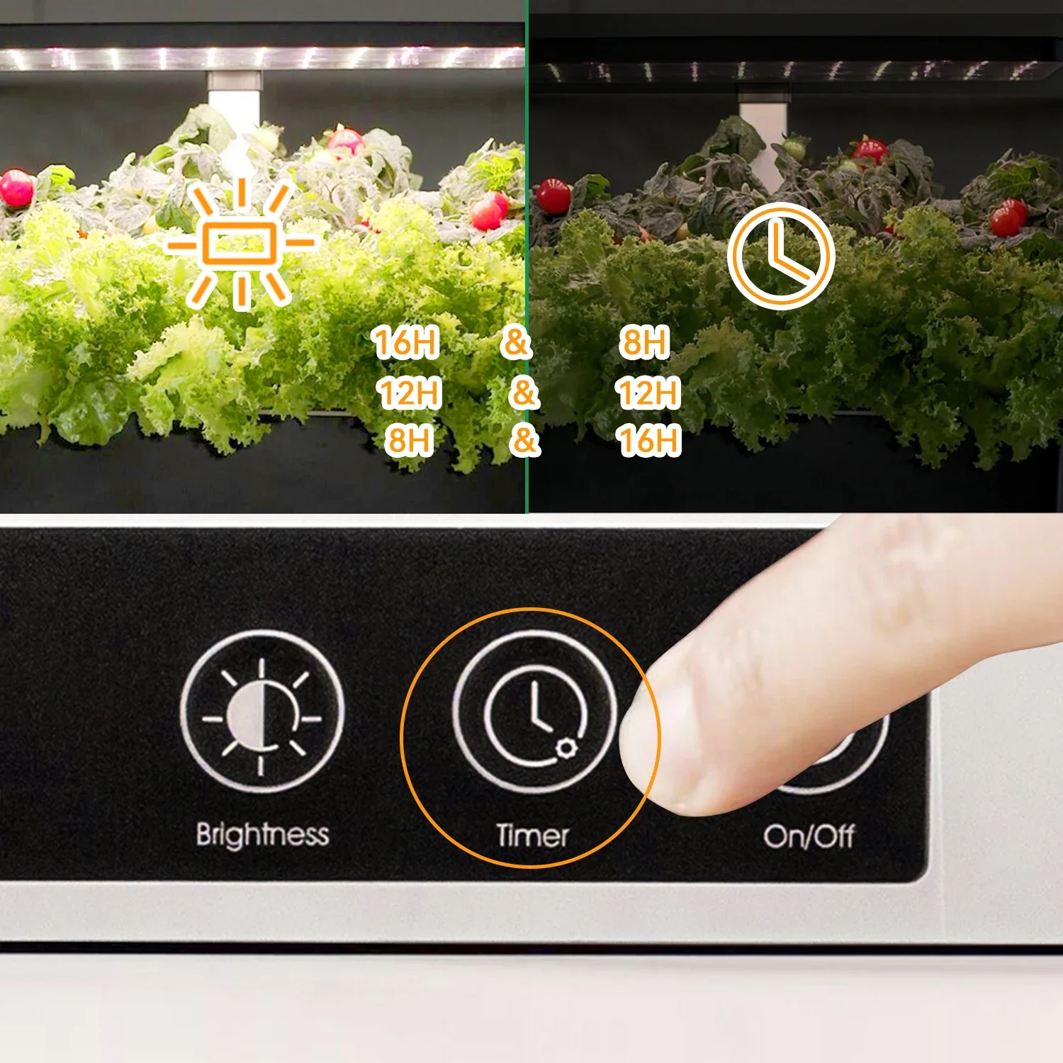 Annecy dengan tanah cerdas - k - Smart Garden Click And Grow ulasan dan harga