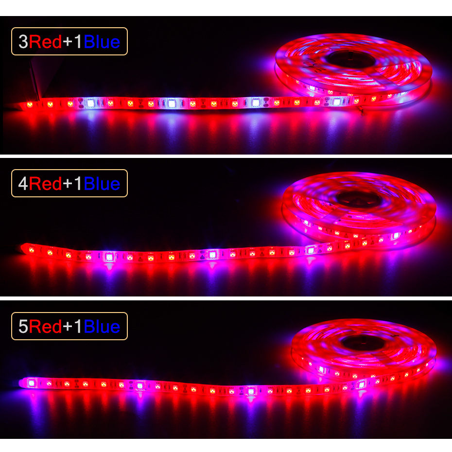 DC 12V Lampu Tumbuh Strip LED  - Led Plant Light Strip ulasan dan harga