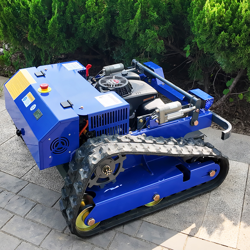 Mesin Pemotong Rumput Robot Pi - Smart Garden Robot ulasan dan harga