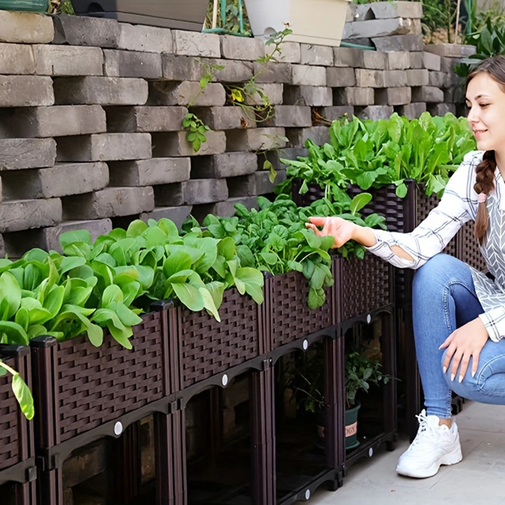Kotak Penanaman Sayuran Tempat - Smart Garden Storage ulasan dan harga